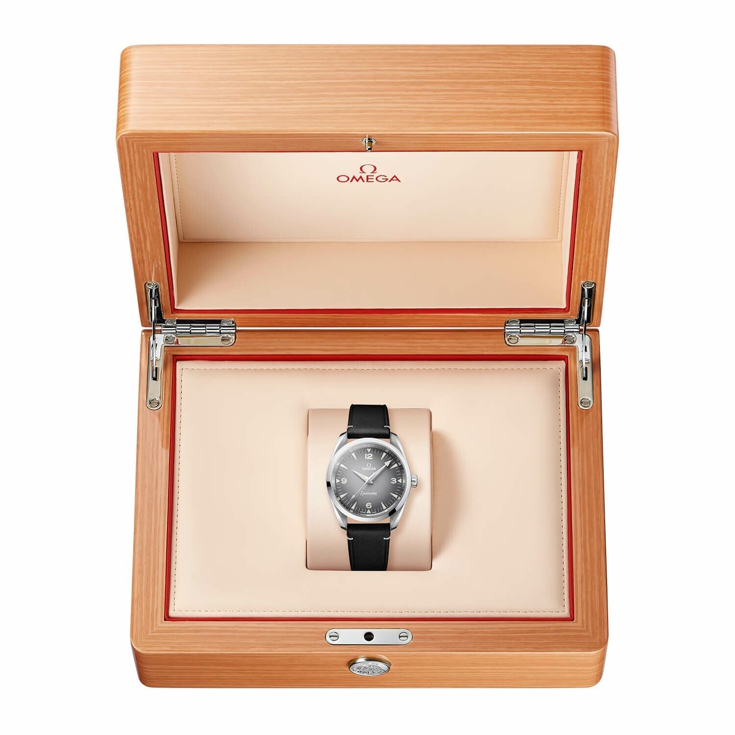 OMEGA Seamaster Railmaster 38 mm / Vintage Textured – Bracelet - Image 5